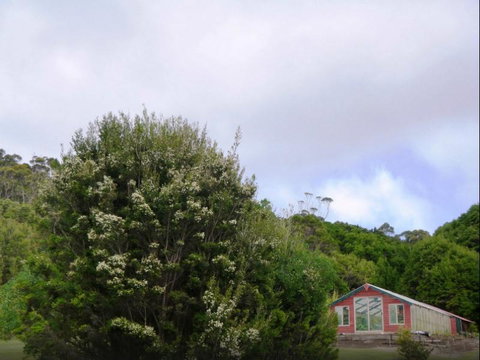 Rocky Glen Retreat King Island - South Australia Travel 6