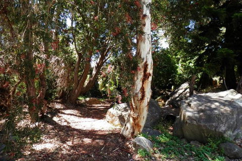 The Hideaway Luxury B & B Retreat - South Australia Travel 6