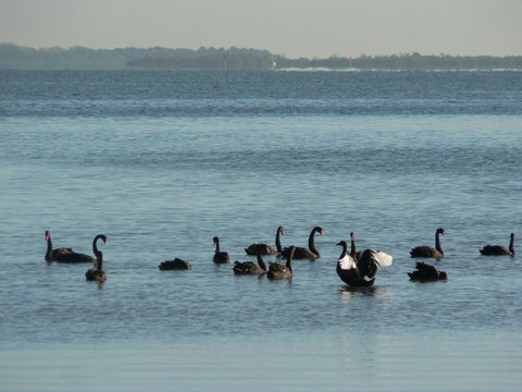 The Friendly Chat Bed & Breakfast - South Australia Travel 2