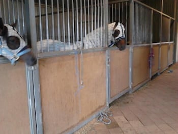 Cabarita Lodge - South Australia Travel 1