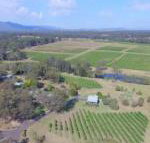 McCaffreys Estate - South Australia Travel