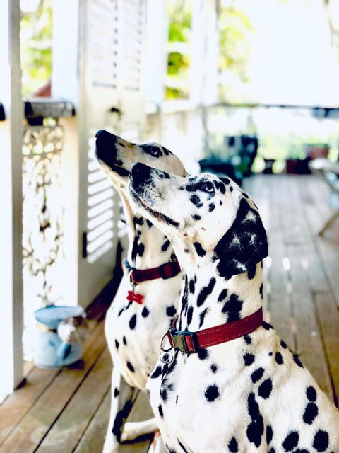 Redland BayBreeze - South Australia Travel 4