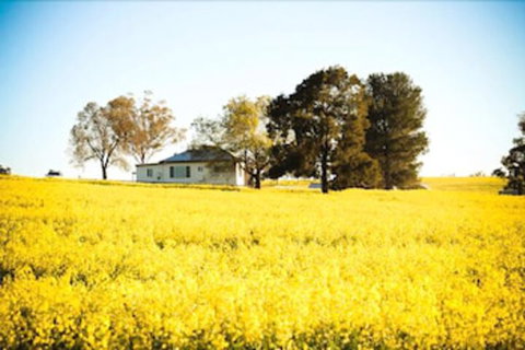 Colenso Country Retreat - South Australia Travel 4