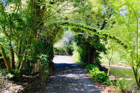 Nagoondie Studio - South Australia Travel 3