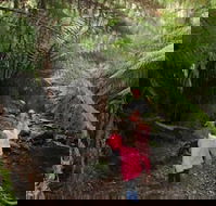 12 Apostles Cottages - South Australia Travel