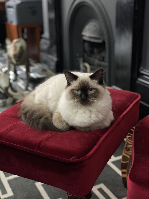 Macquarie Manor - South Australia Travel 5