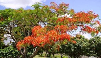 Chatsworth QLD South Australia Travel