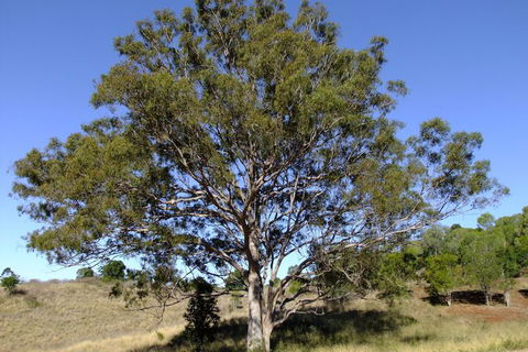 Deshons Retreat - South Australia Travel 7