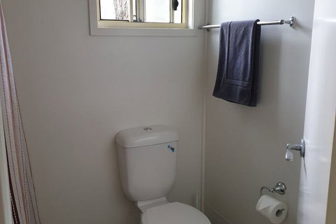 Mt Warning Rainforest Park - South Australia Travel 7