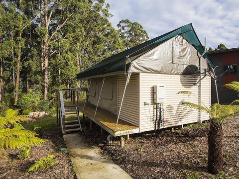 NRMA Port Arthur Holiday Park - South Australia Travel 4