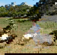 Country Cottages of Bridgetown - South Australia Travel