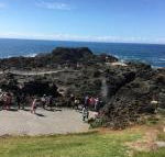 Sea Whispers - South Australia Travel