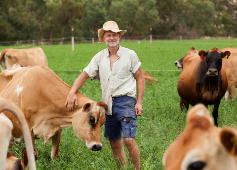 Dairymans Cottage - South Australia Travel 3