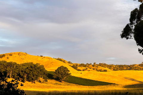 Dairymans Cottage - South Australia Travel 6