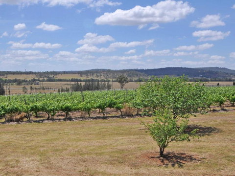 Beggars Bridge Vineyard Homestead W / Pool + Wifi + Tennis + Vineyard - South Australia Travel 2