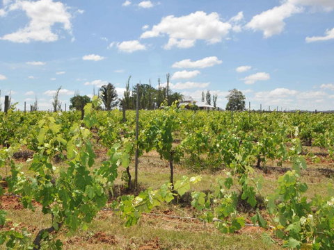 Beggars Bridge Vineyard Homestead W / Pool + Wifi + Tennis + Vineyard - South Australia Travel 1