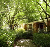 Leura Camellias - South Australia Travel