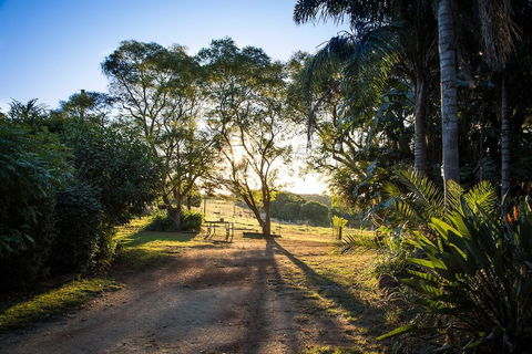 Hillview Cottages - South Australia Travel 0