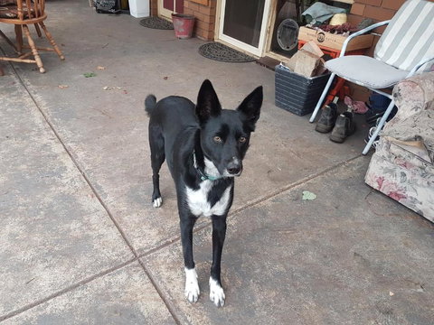 Kismet B & B - South Australia Travel 3