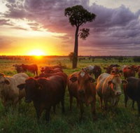 Myella Farm Stay - South Australia Travel