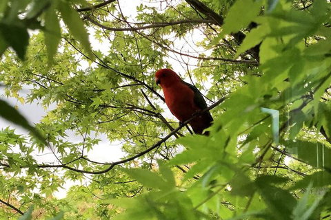 The Studio Yarra Valley - South Australia Travel 7