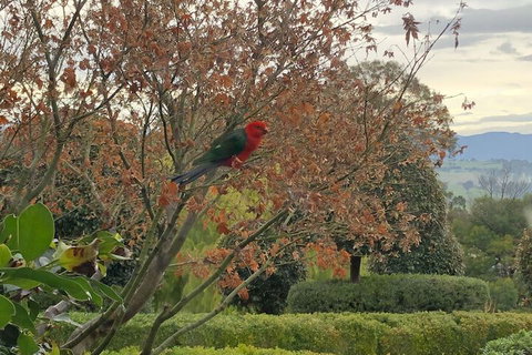 The Studio Yarra Valley - South Australia Travel 4