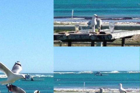 Lous Place - South Australia Travel 6