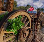 Bellum Hotel - South Australia Travel