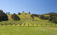 Blue House At Mountainside Wines - thumb 1