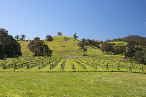 Blue House At Mountainside Wines - South Australia Travel 1