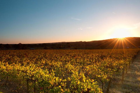 Linfield Cottage - South Australia Travel 5