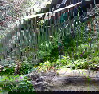 Lemonade Creek Cottages - South Australia Travel