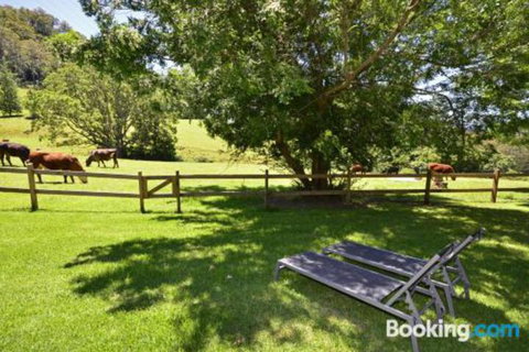 Secrets At Cedar Grove - South Australia Travel 2