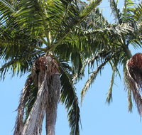 Tri Byron Bay - South Australia Travel