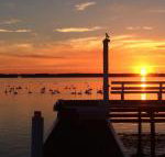 Bayview Boathouse - South Australia Travel