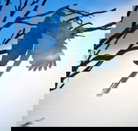 Tenterfield Cottage Holiday House - South Australia Travel