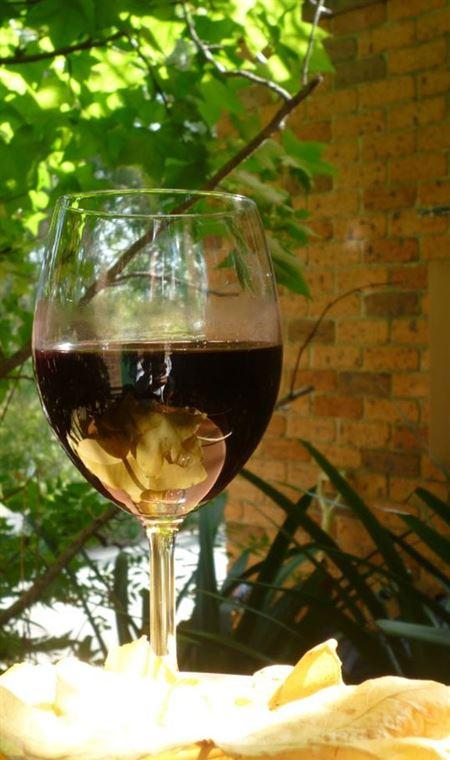 Blue Malt Restaurant Cafe - South Australia Travel 4