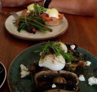 Brew - South Australia Travel