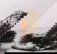 Only Mine - South Australia Travel