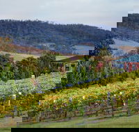 De Bortoli Winery  Restaurant - South Australia Travel