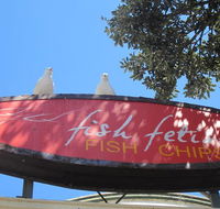 Fish Fetish - South Australia Travel