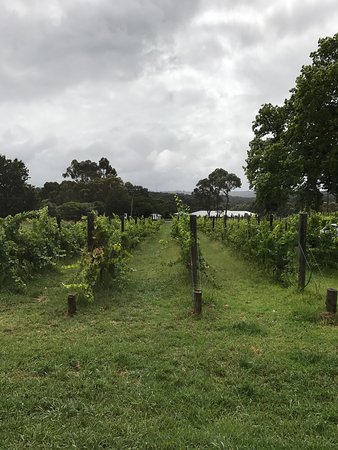 Upper Beaconsfield VIC South Australia Travel