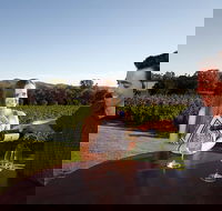 Gapsted Wines - South Australia Travel