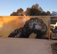 Woomelang General Store and Cafe - South Australia Travel