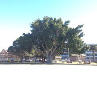 Gladstone Park Bowling Cllub - South Australia Travel