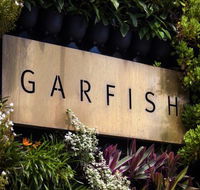 Garfish - South Australia Travel
