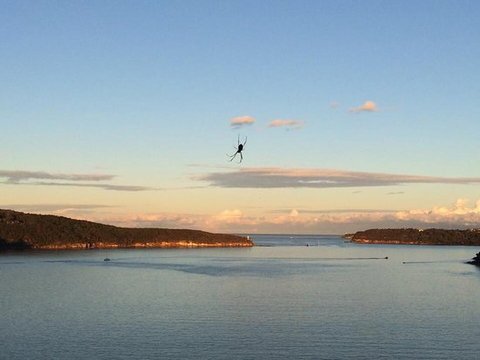 Zest Waterfront Venues - South Australia Travel 0