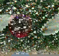 Bacco Re - South Australia Travel