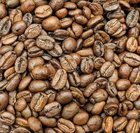 Coffee Guru Ulladulla - South Australia Travel