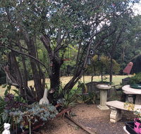 Leonies Little Tree Cafe - South Australia Travel